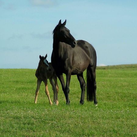 Gite De Solama Avec Spa Balleville Zewnętrze zdjęcie