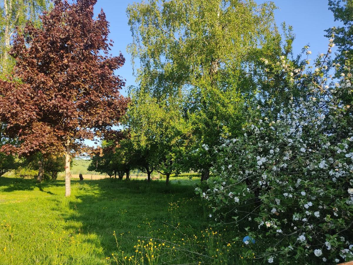 Gite De Solama Avec Spa Balleville Zewnętrze zdjęcie
